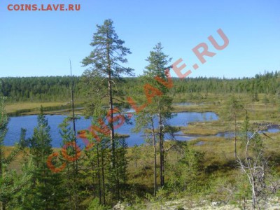 ФОТО - просто фото. Те что получились удачными. - DSC03543.JPG