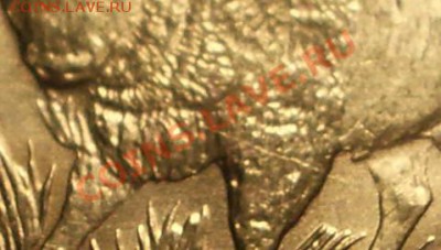 50 руб. Зубр - расколы с 2х сторон (ок. 15.09.12 в 22-00) - 048