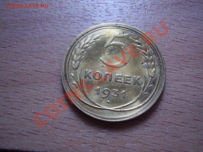 5 коп. 1931 - PB080116.JPG