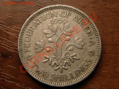 Нигерия 2 шиллинга 1959 до 12.09.12 в 21.00 М - IMG_3294