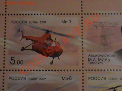 л - DSC00407.JPG