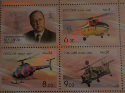л - DSC00408.JPG
