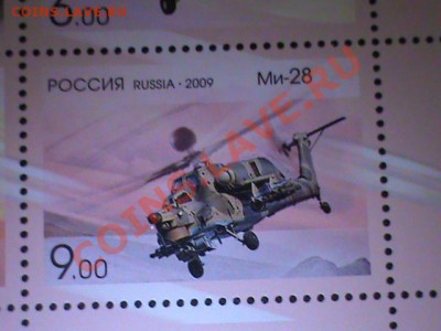 л - DSC00410.JPG