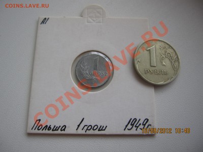 ВОРОШИЛОВСКИЙ СТРЕЛОК! - IMG_3560