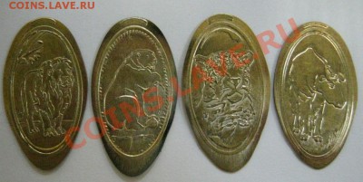 Жетоны новосибирского Зоопарка - Зоо-2.JPG
