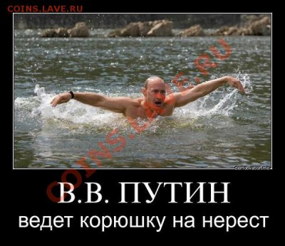 И опять - одним абзацем - ведёт корюшку на нерест