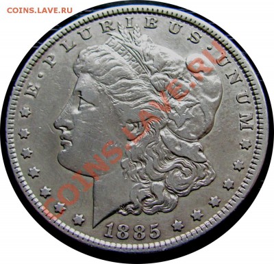 S83 США Morgan Dollar 1885 до 17.09 в 22°° - S83 Morgan Dollar 1885_1