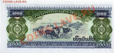 Лаос 1000 кипов 1992 до 17.09.12 в 22.00мск (2971) - img781