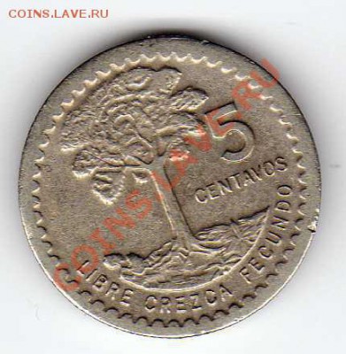 Гватемала 5 сентаво 1976 до 17.09.12 в 22.00мск (2895) - img853
