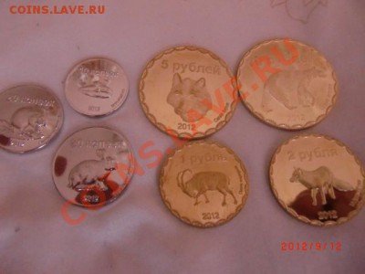 7-мь Сражений, Белозёрск, Чеченские деньги и др. - CIMG1176.JPG
