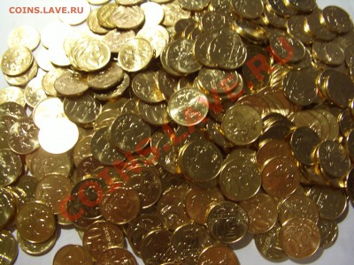шт - CIMG5901.JPG