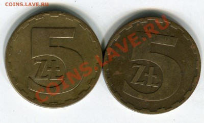 5 злотых - img384