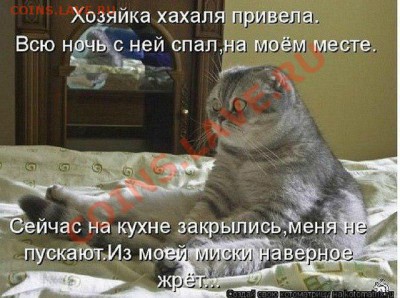 юмор - UIeEHaFvZys