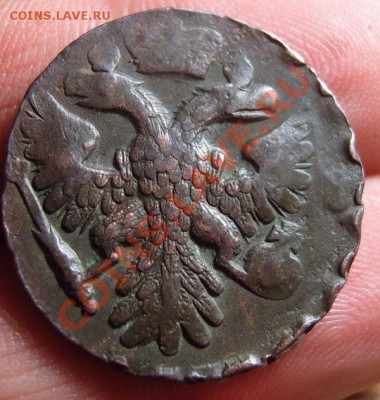 Денга 1741 г - S3701718.JPG