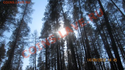 ФОТО - просто фото. Те что получились удачными. - IMG_3587