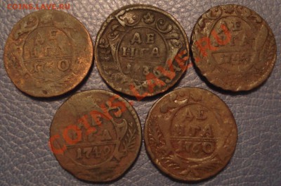 Денга 1730-1750 гг  (5 шт) - Денга 1730 36 48 49 50_1