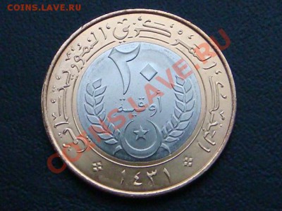 -vБМ- Мавритания 20 угия 2010 бимет. до 19.09(22.00) - DSC08488.JPG