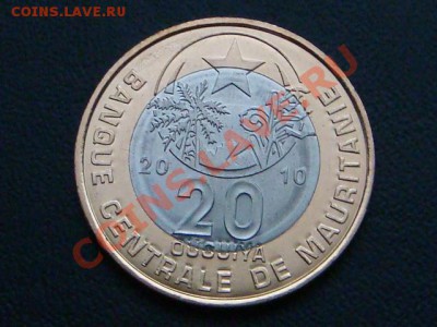 -vБМ- Мавритания 20 угия 2010 бимет. до 19.09(22.00) - DSC08487.JPG