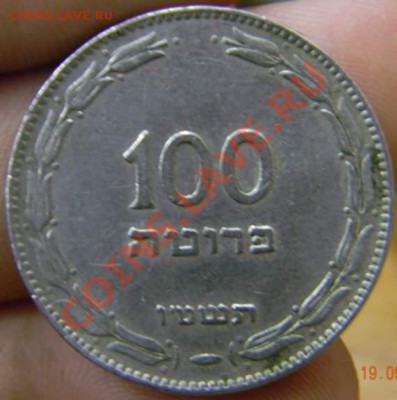 100 прута Израиль - DSCN2518_thumb