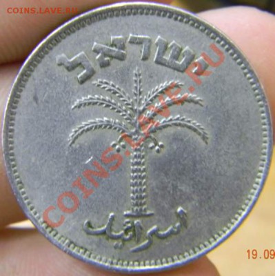100 прута Израиль - DSCN2519_thumb