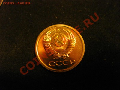 наборные 1982-15к лысая-10к с уступом-1к короткие ости - IMG_4468.JPG
