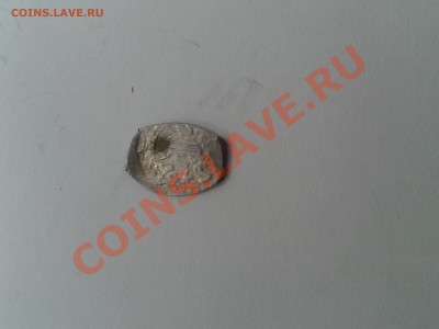 Две чешуйки - 2012-09-19 12.38.03
