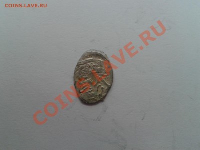 Две чешуйки - 2012-09-19 12.44.35
