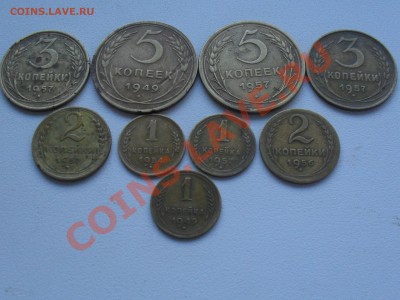 поборка монет - SDC10629.JPG