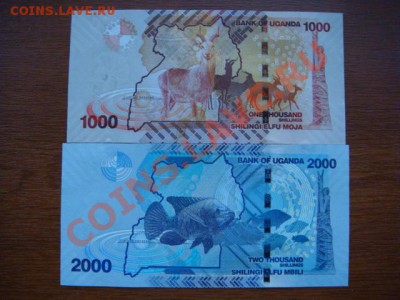 -vБ- Уганда 1000 и 2000 шиллингов 2010 до 27.09(22.00) - DSC08508.JPG