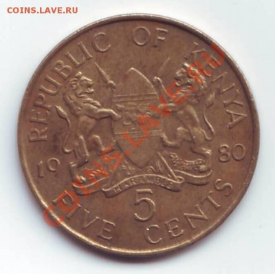 Кения.5 центов 1980г. до 27.09.12 в 22.00мск - Кения. 5 центов. 1980. 2.JPG