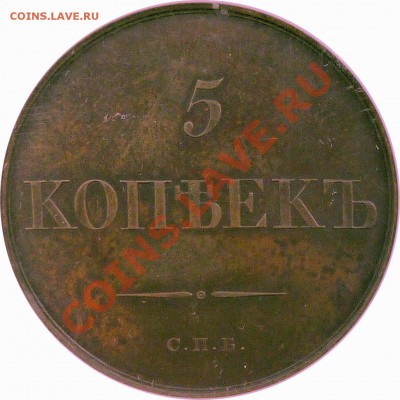 Медные 5 Копеек 1830 СПБ. NGC MS-62 BN - 5 k. 1830 CNB Pattern MS-62 BN (4).JPG