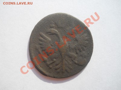 Денга 1735 Года. Окончание в 21.10, 27.09.2012. - 6.JPG