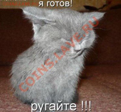 делает - прямо сейчас !!! - PWiuvurxv60
