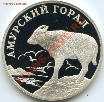 КК 2002г. Амурский горал, до 25.09.12г. 22:00 мск. - горал,