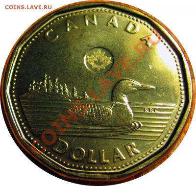 T06 Канада 1$ 2012 New Generation Loon UNC 01.10 в 22°° - T06 1$ 2012_2