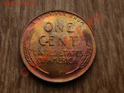 США 1 цент 1955 Д  до 28.09.12 в 21.00 М - IMG_3935