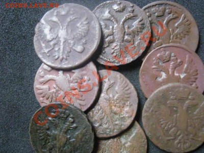 ! Деньга. 9 шт. Без повторов. 1735-1753г.    До 30.09.2012г. - чт 27 026.JPG