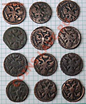 Лот монет: 1731-1748г.г.  деньга 12шт. - z18tiAH9XIQ