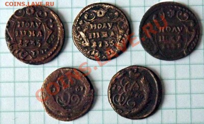 Лот монет полушка 1735-1770г.г. (5 шт.) - uFBiRWqtSAI