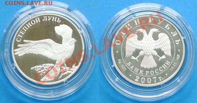 Степной лунь, Красная книга, 1 рубль, 2007 год, Ag 15.55 - 2012-09-27_163501