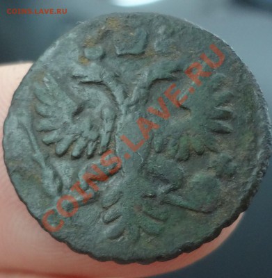 Полушка 1732 г. ??? - DSC01337.JPG