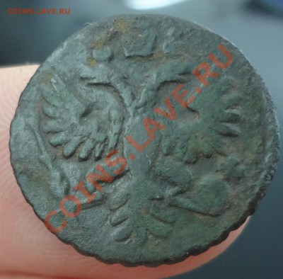 Полушка 1732 г. ??? - DSC01338.JPG