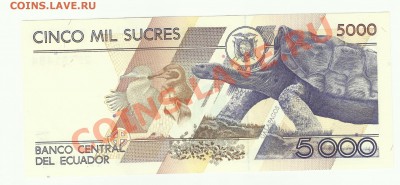 ЭКВАДОР - 5000 сукре 1999 {ПРЕСС} - до 4.10 - 077