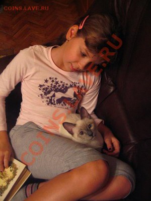 Угадай имя Кошки - IMG_0431.JPG