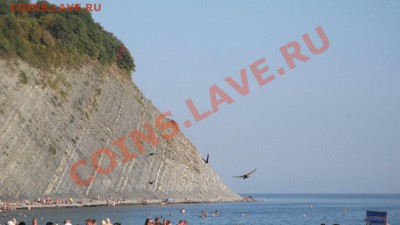 делает - прямо сейчас !!! - 1po9J5epfkc