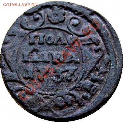 Полушки 1730-1754 годов. Галерея - 2632055415