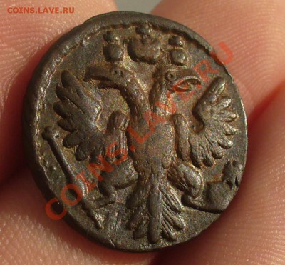 Полушки 1730-1754 годов. Галерея - P1200103.JPG