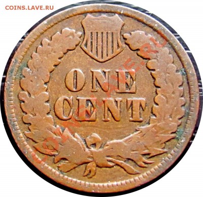 T29 США 1¢ 1904 Indian Head Cent до 05.10 в 22°° - T29 1c 1904_2