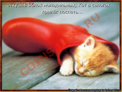 юмор - кот в сапогах