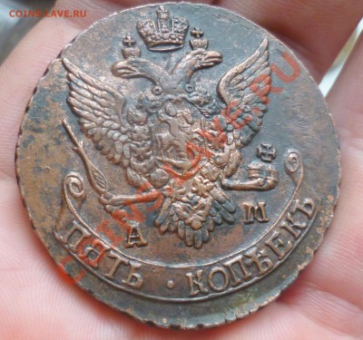5 копеек 1791 год(АМ) симпатичный. ОЦЕНКА. - P1030946.JPG